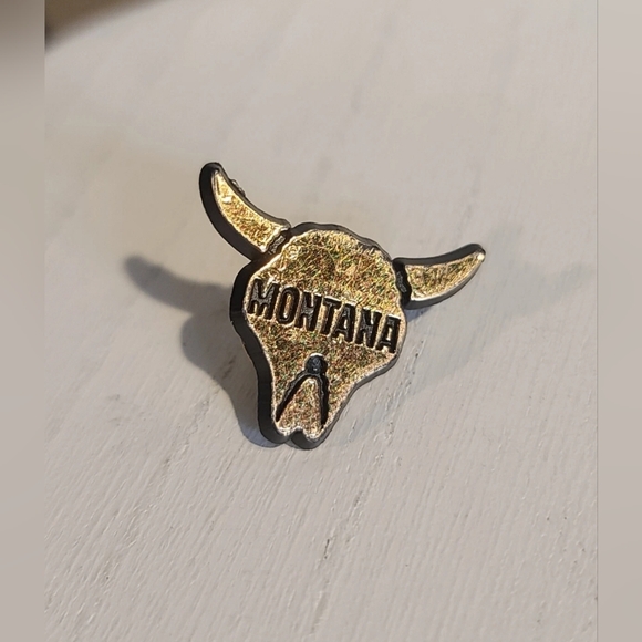 Montana Bison Skull Plastic Lapel Pin [ Read Details ] - Picture 1 of 13